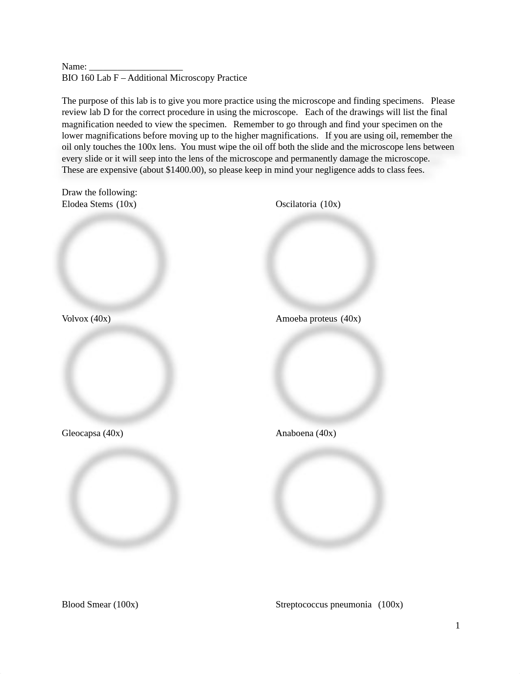 BIO160 Lab F practice microscopy-1.docx_dl02jkamol1_page1