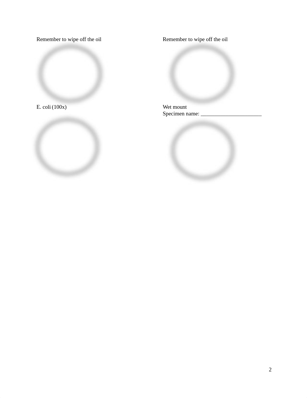 BIO160 Lab F practice microscopy-1.docx_dl02jkamol1_page2