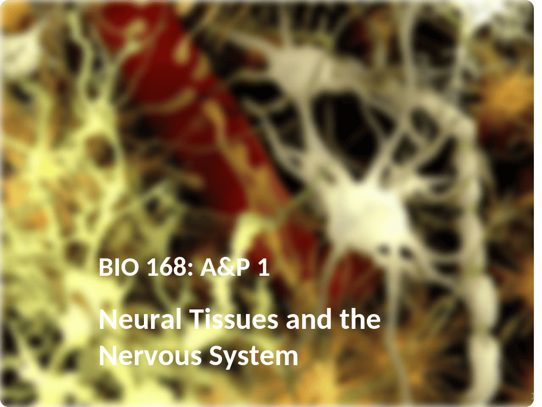 168-10 Nervous Tissue FA18 Lecture.pptx_dl05od9jbz6_page1