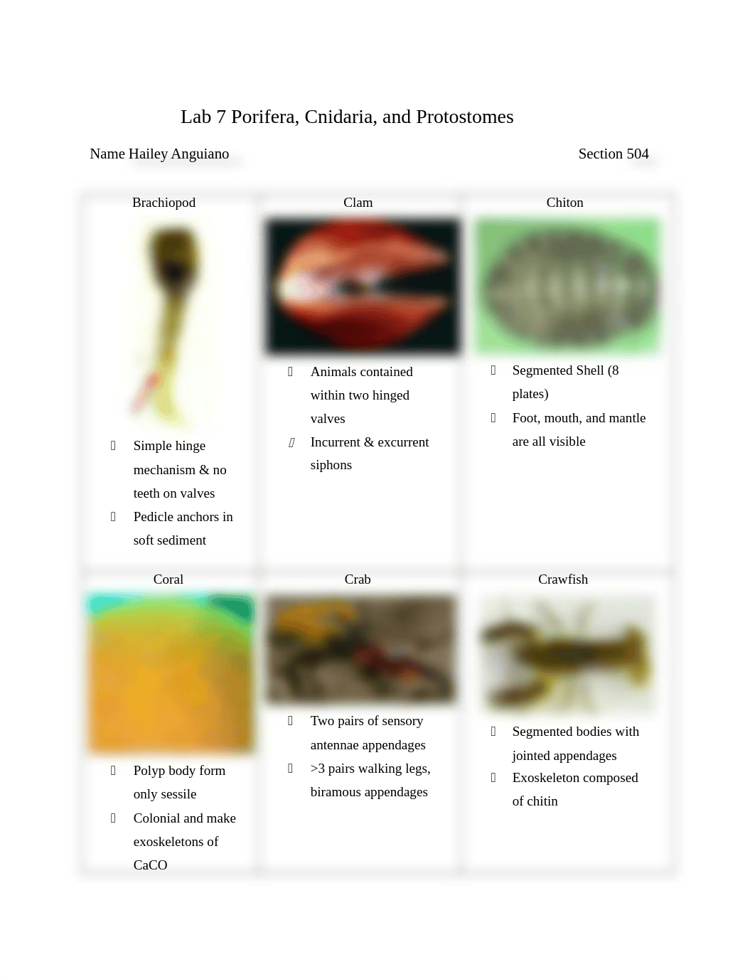 Protostomes_protocol_with tree_v1_QV.docx_dl074jl3oip_page1