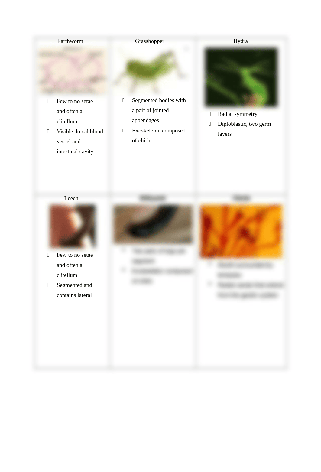 Protostomes_protocol_with tree_v1_QV.docx_dl074jl3oip_page2