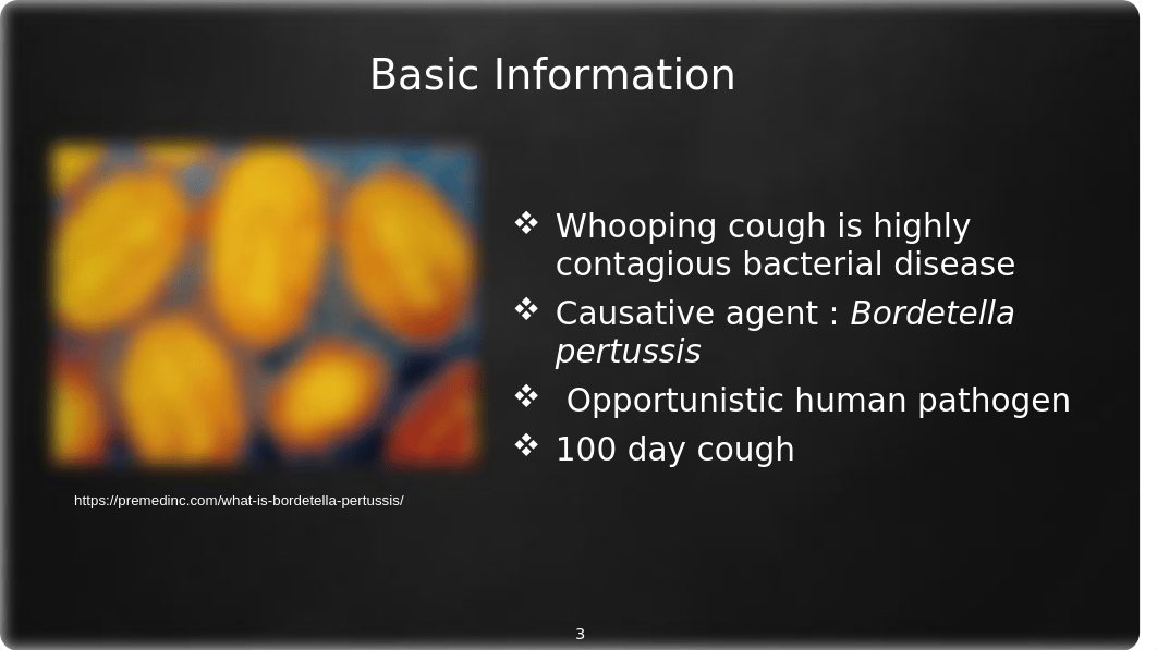 Pertussis Presentation  (1).pptx_dl0kyrvgtwf_page3