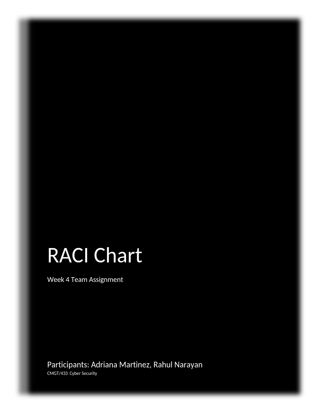 RACI CHART.docx_dl0m540ld9a_page1