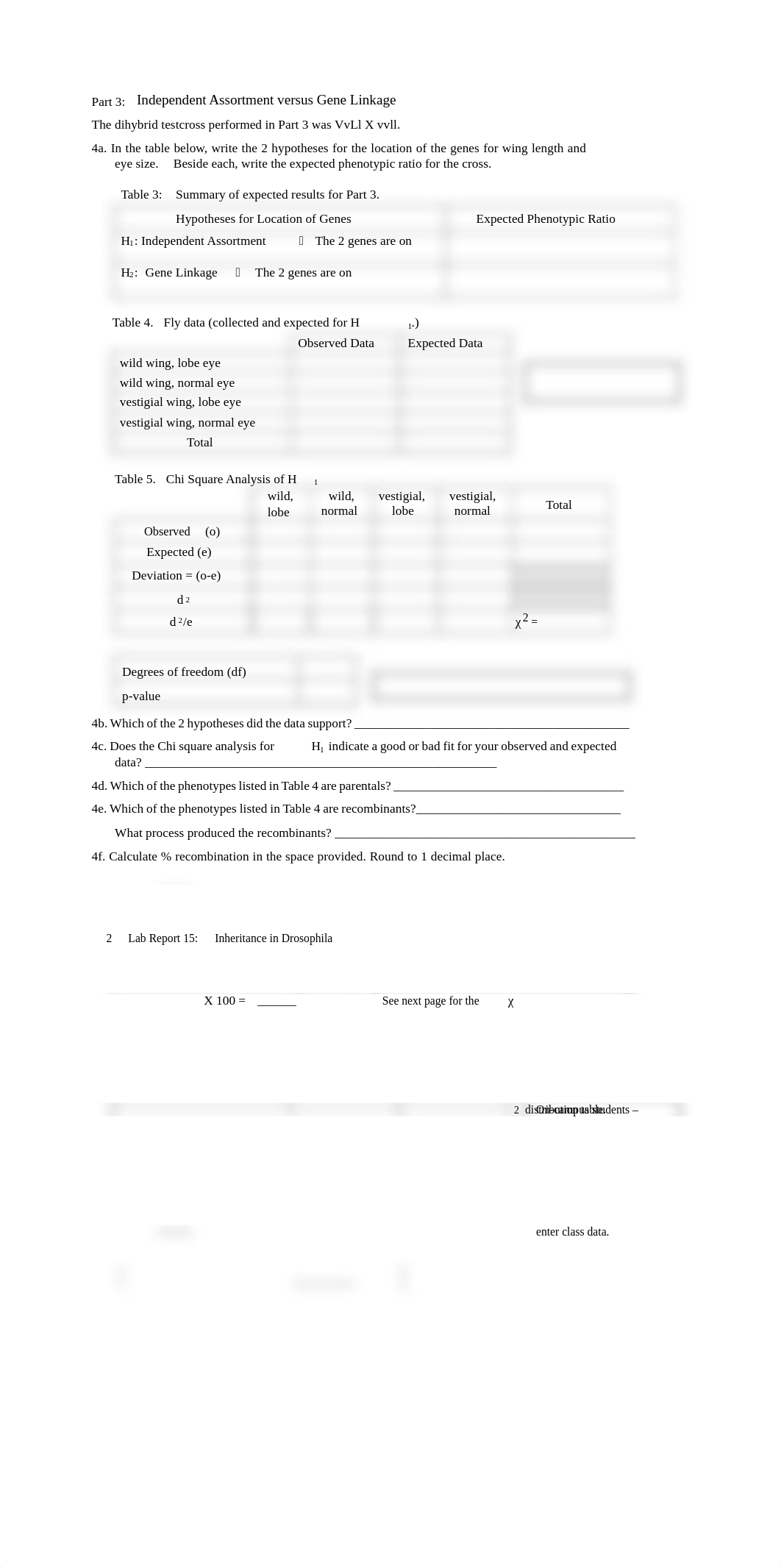 15b Lab Report 15 Inheritance in Drosophila.pdf_dl0s7z8z9ch_page2