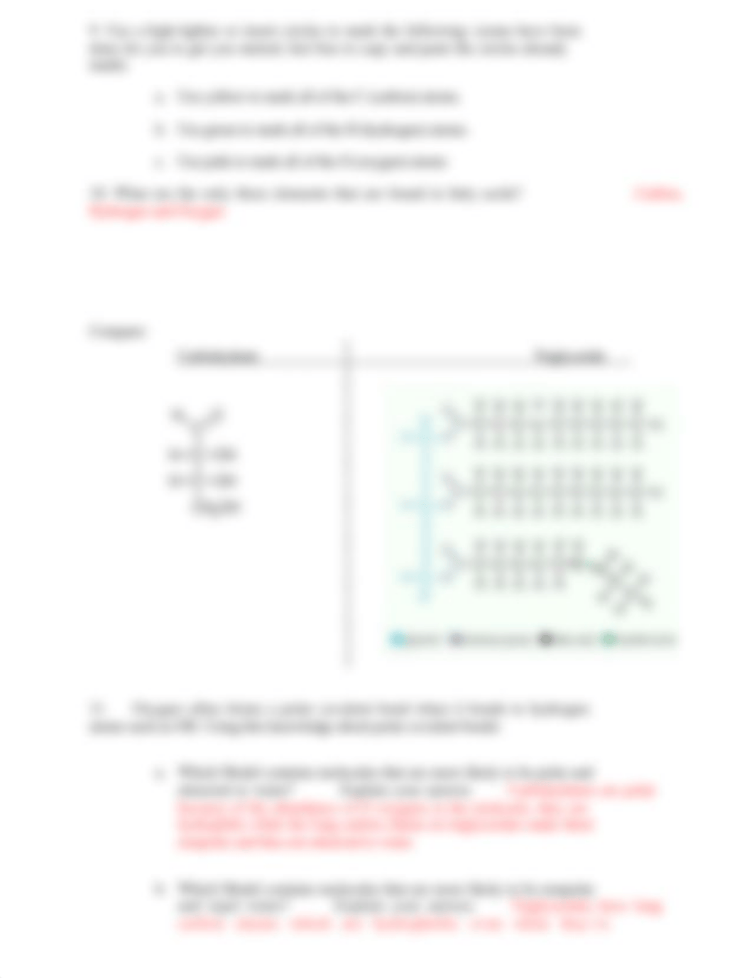 Biomolecules POGIL (Online) (1).doc_dl12g3xw4pg_page3