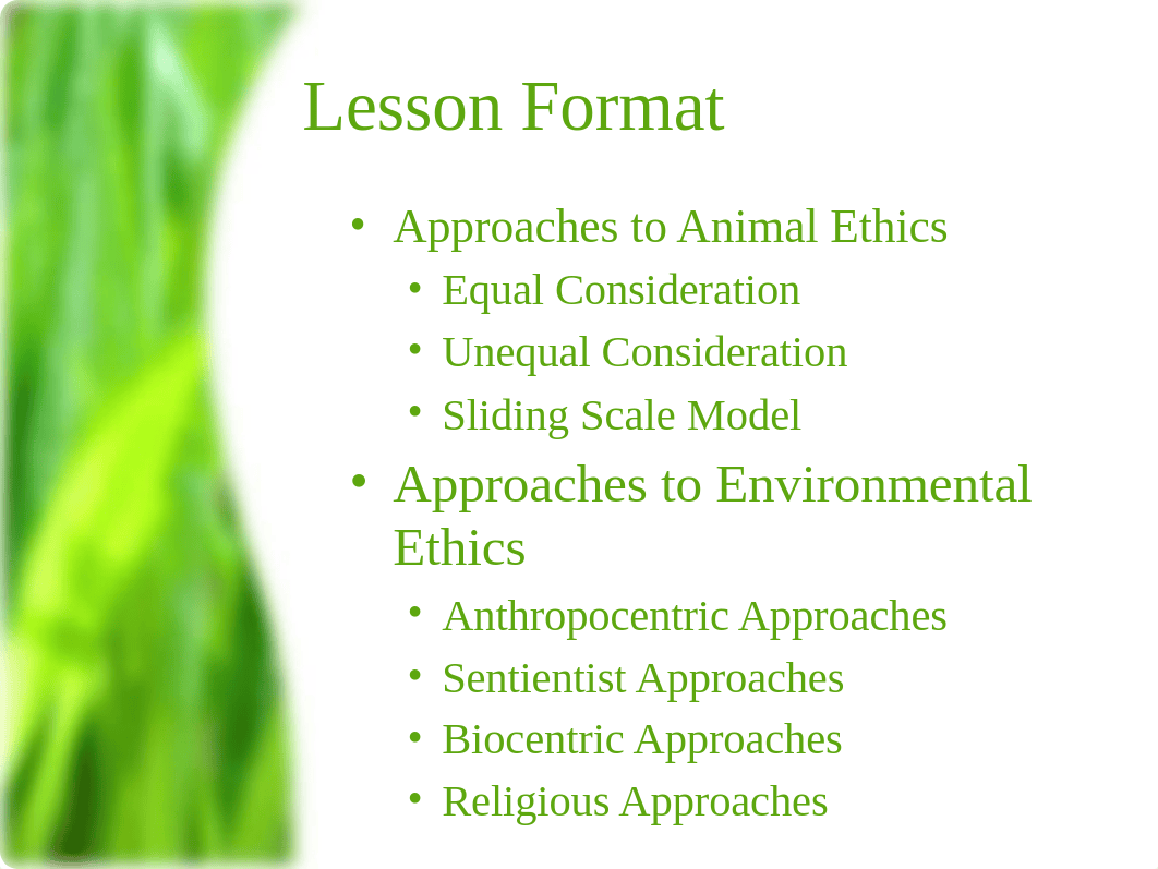 Lesson - Environmental and Animal Ethics_dl16go3z9fr_page2