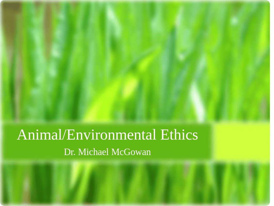 Lesson - Environmental and Animal Ethics_dl16go3z9fr_page1