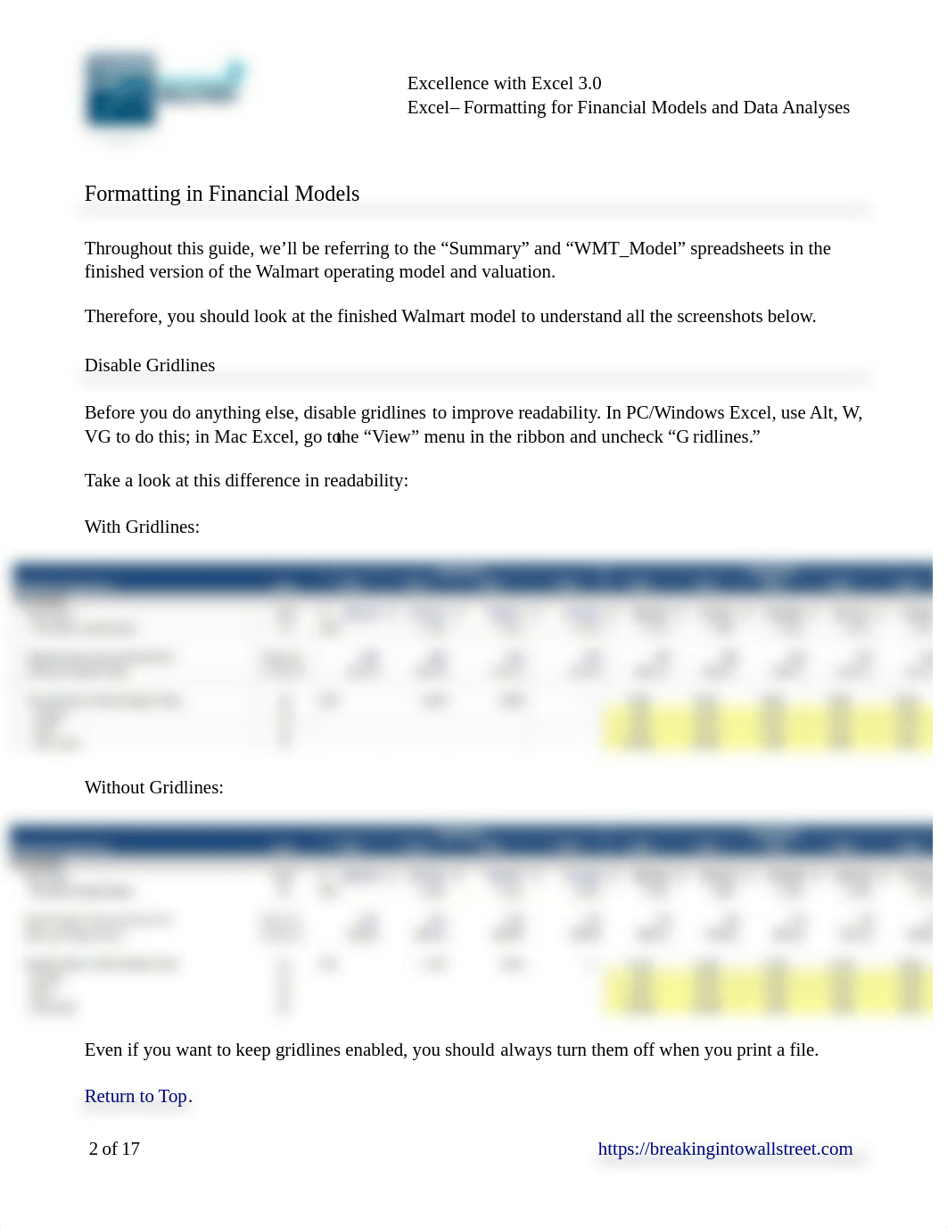 BIWS-Excel-Formatting-Best-Practices.pdf_dl16m4zwg0l_page2