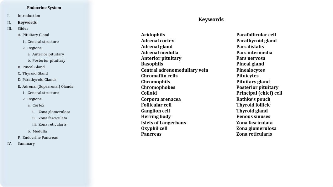 16 - Endocrine System.pdf_dl1bq94g72q_page3