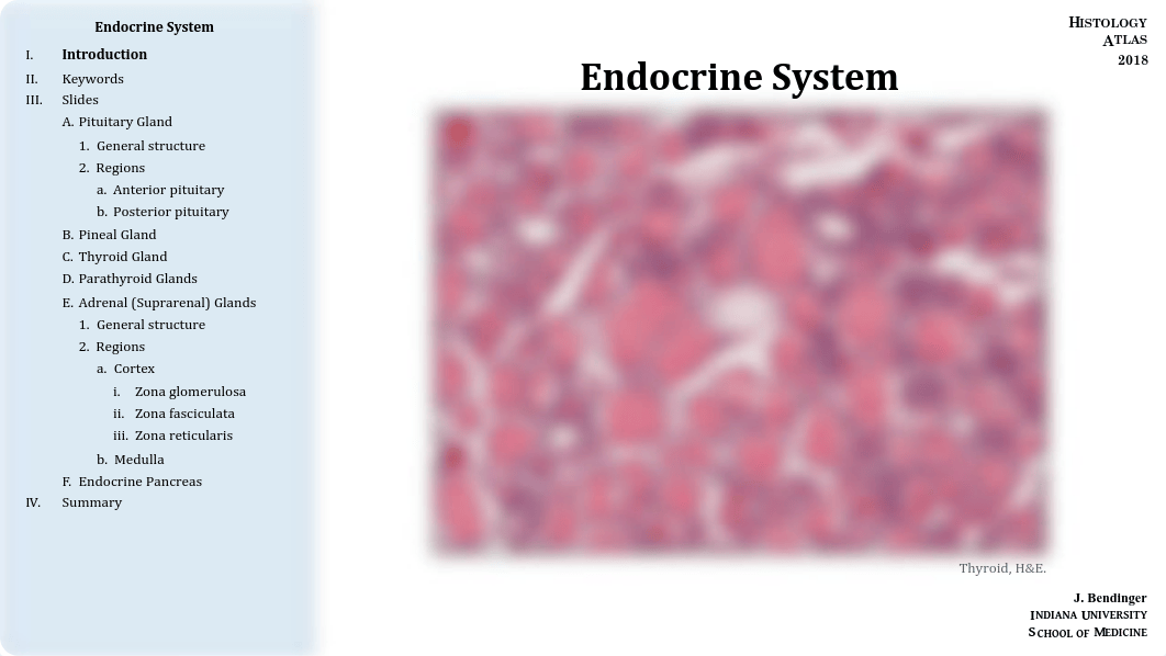 16 - Endocrine System.pdf_dl1bq94g72q_page1