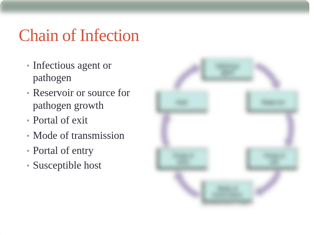 Chapter_029 Infection Prevention & Control.pdf_dl1cssfjomz_page4