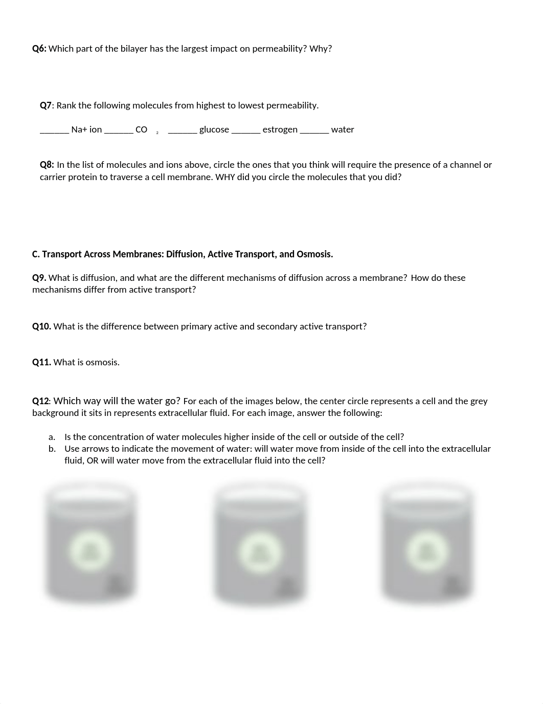 BIO246_week 1_handout_biochem and transport.docx_dl1du3k3m8r_page2