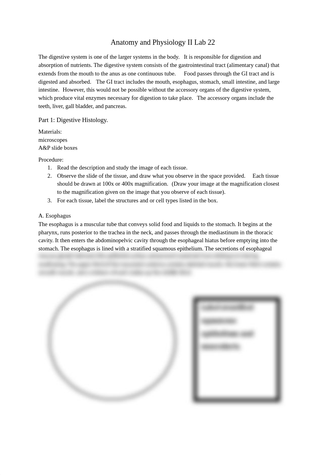 AP II Lab 22 procedure online (1).docx_dl1e9gh5grw_page1