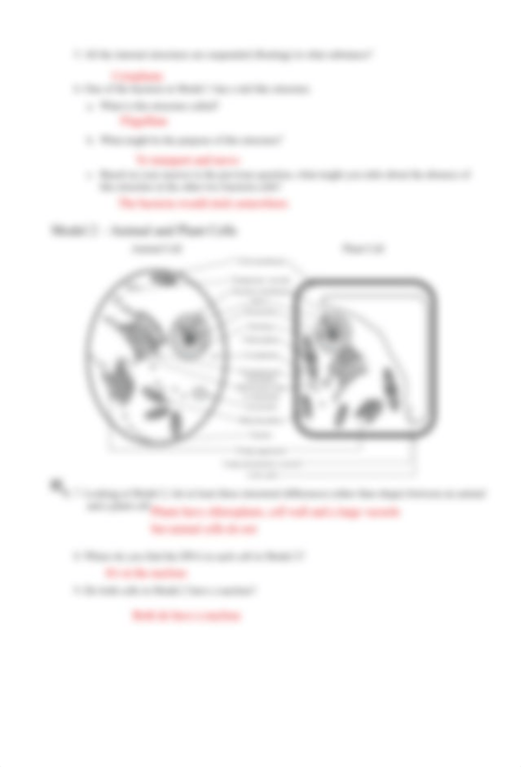 Prokaryote+and+Eukaryote+Cells.pdf_dl1eev6xroh_page2