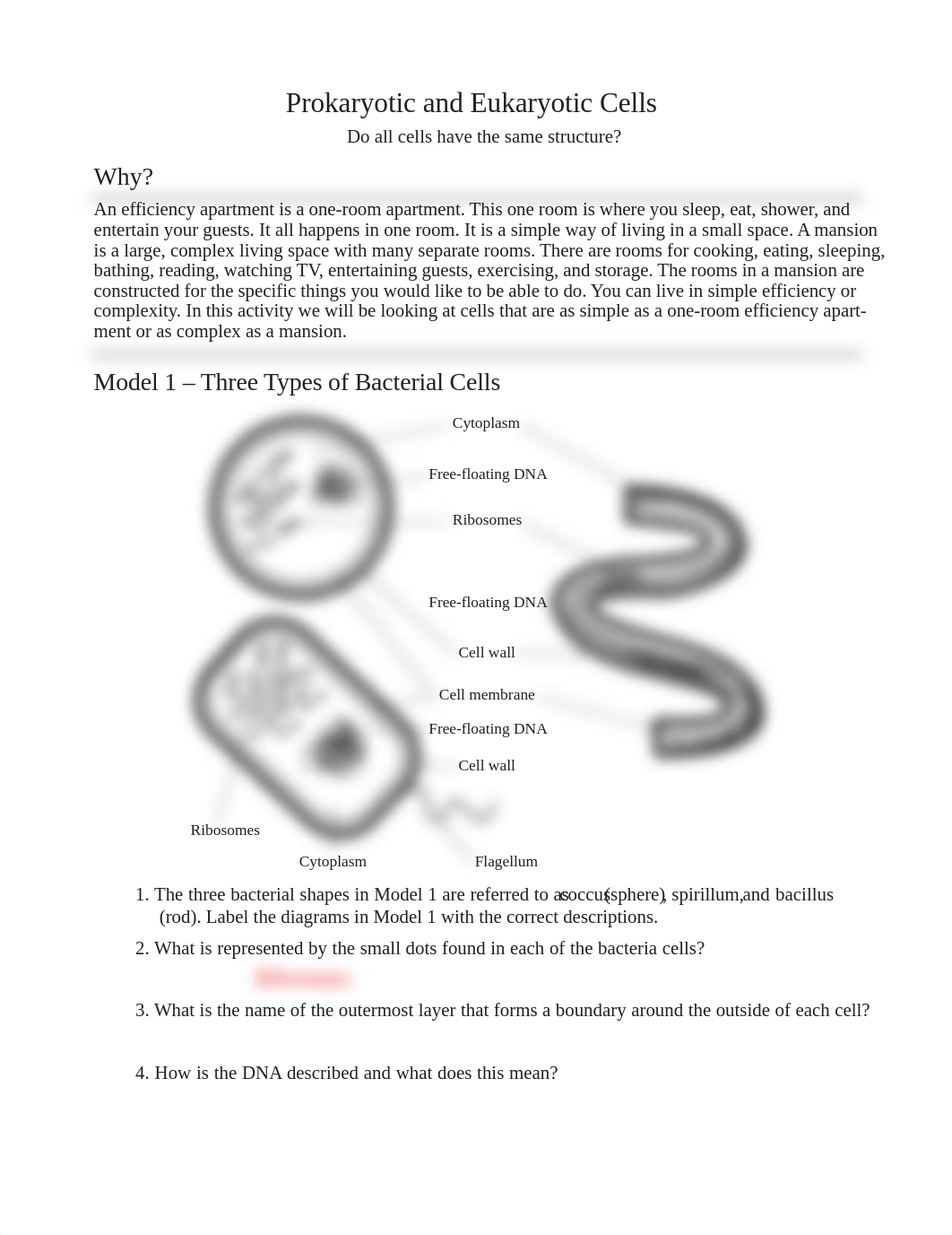 Prokaryote+and+Eukaryote+Cells.pdf_dl1eev6xroh_page1