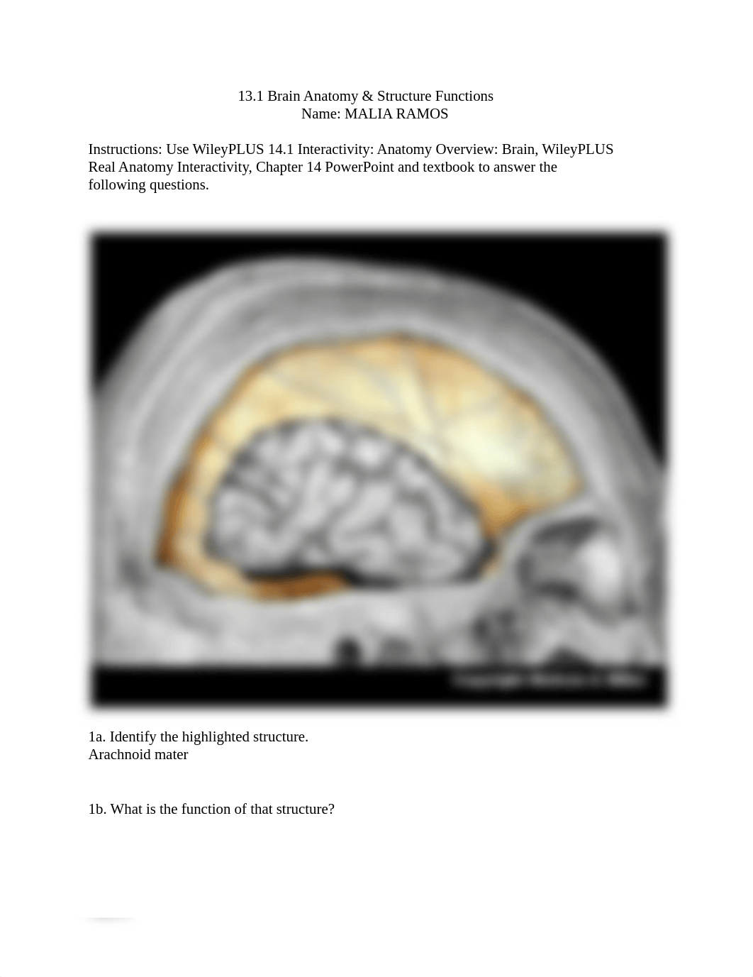 13.1+Brain+anatomy+_+structure+function+worksheet (1).pdf_dl1fpc1uar2_page1