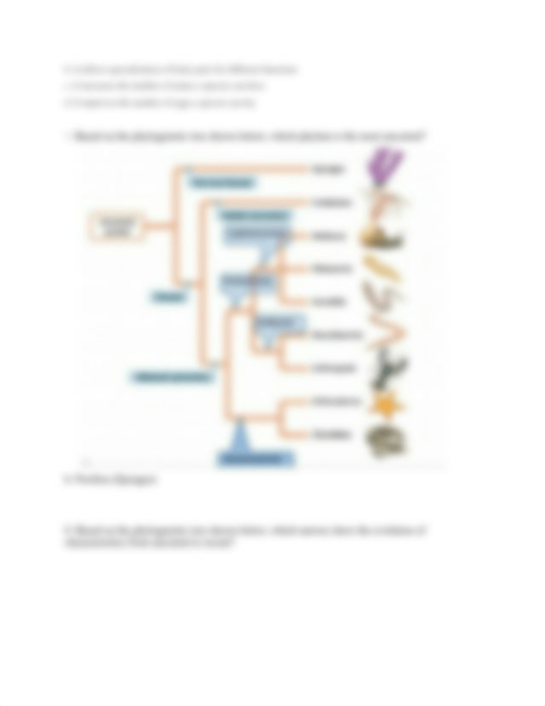 BIO 2 Quiz 7.docx_dl1lndbbblu_page2