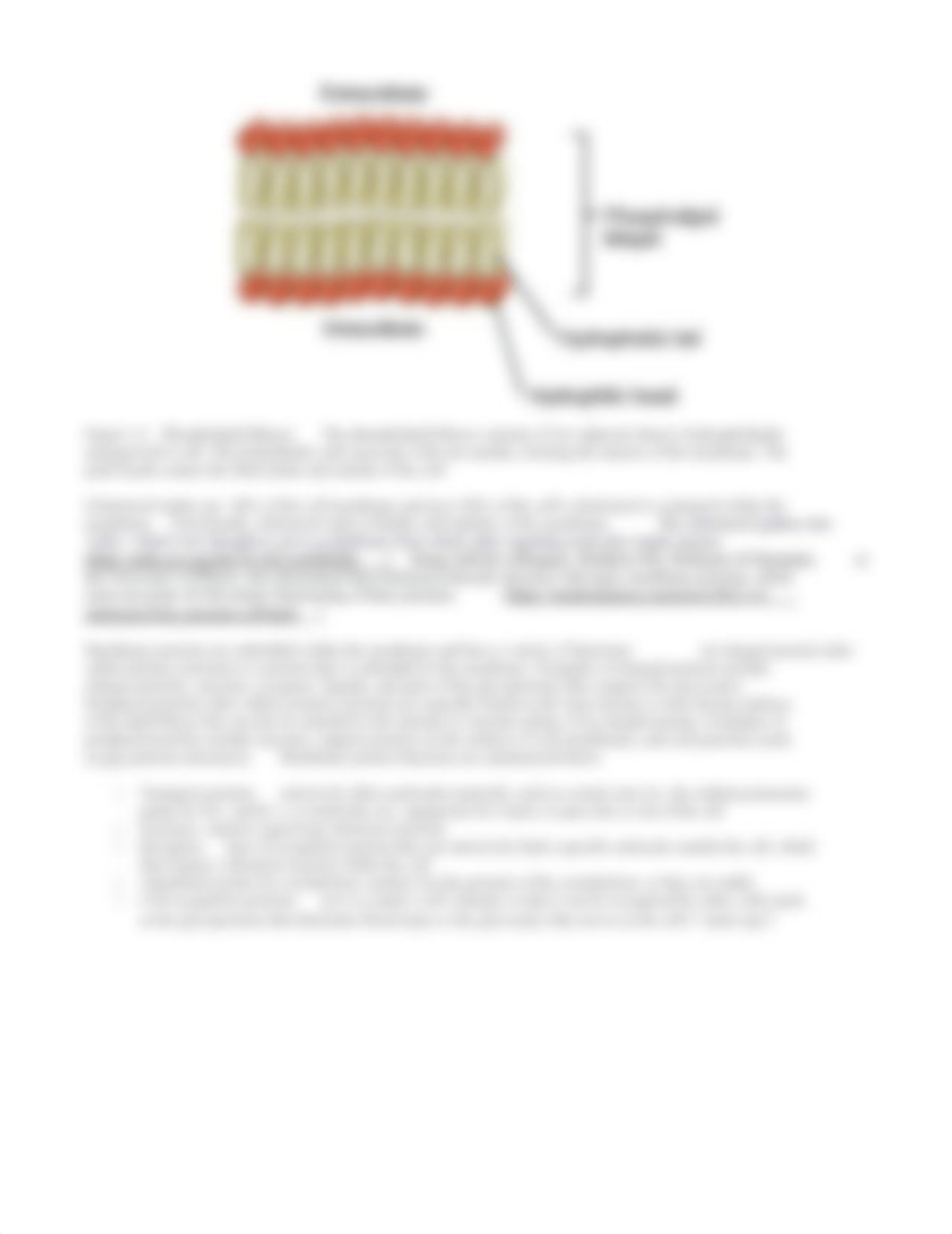 Lab_3-Investigating_Cells_and_Cell_Variations_34odKfV.docx_dl1og0mgbvv_page3