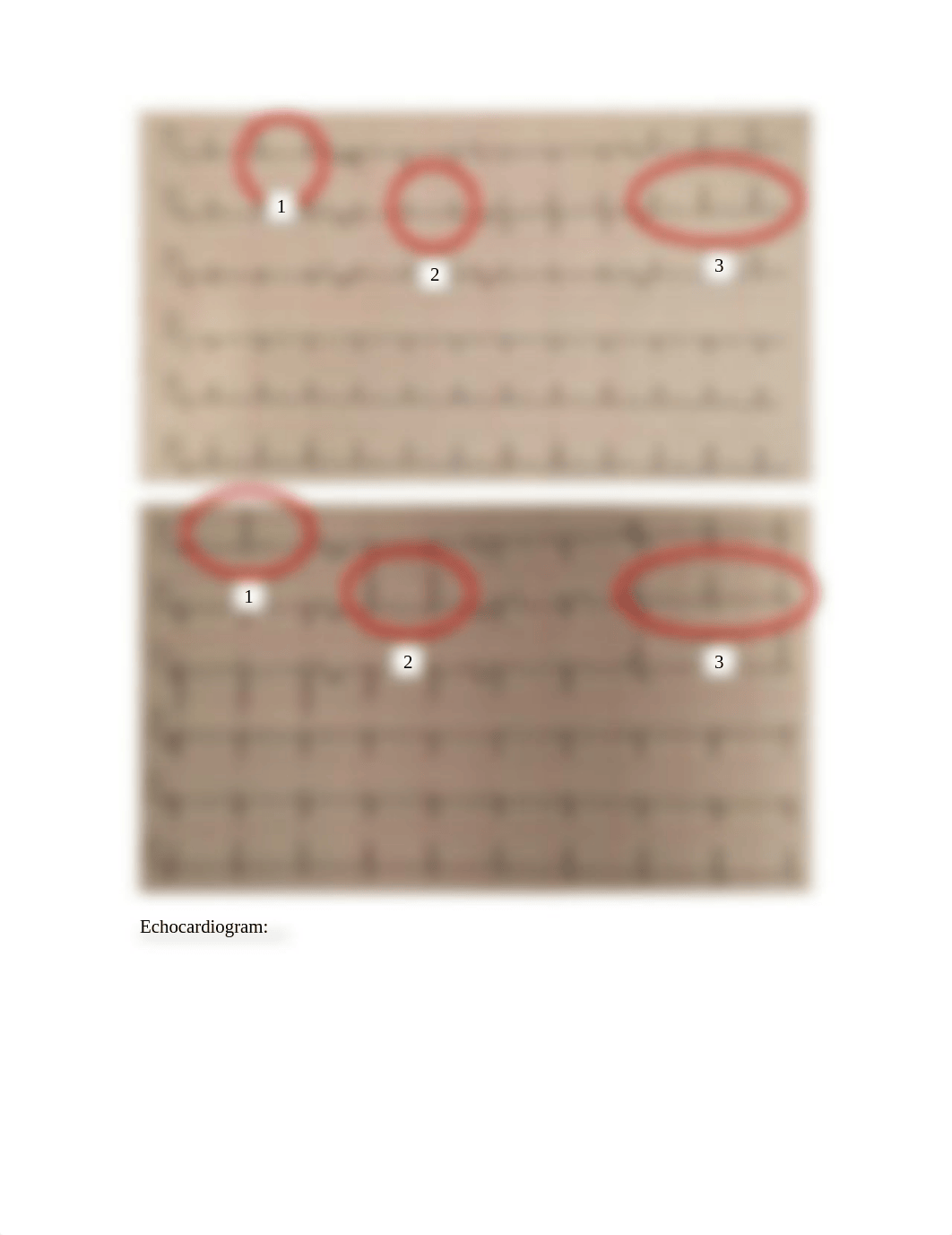 Final Case Study - Mr Jones.docx_dl1pf0s9q6q_page3