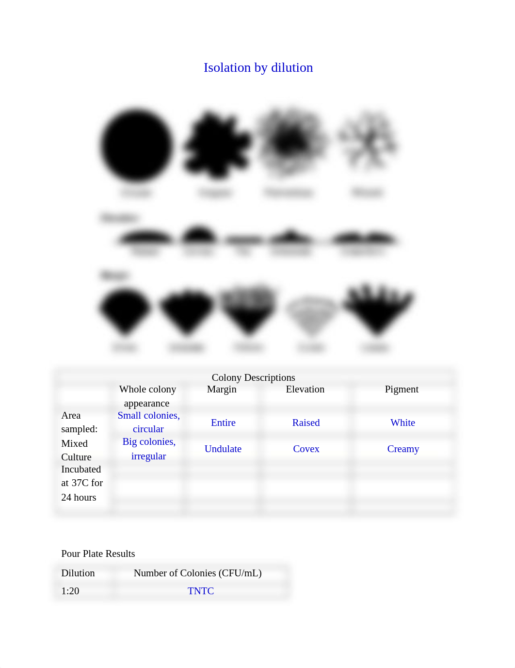 Isolation by dilution - 1.docx_dl1ywa2jd2z_page1