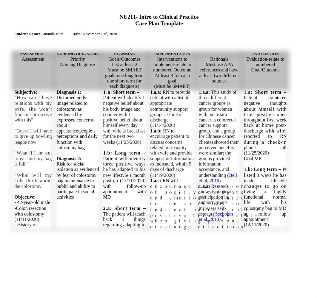 Care Plan #2.docx_dl22cwrdm8n_page1