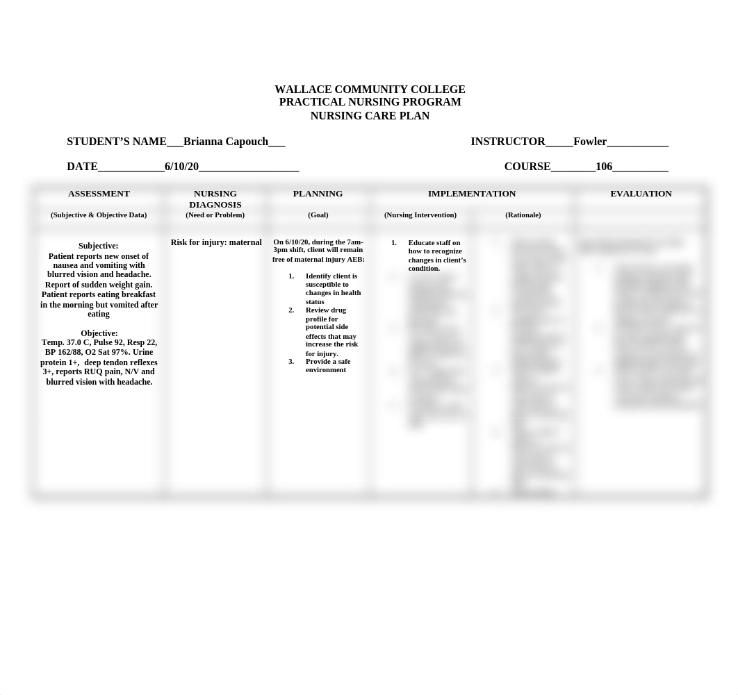 106 Preeclampsia CARE PLAN.doc_dl22vj3x7sf_page1