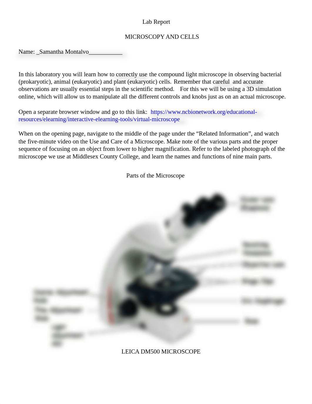 Lab Report 2  Microscopy.docx_dl2bw2mfemy_page1