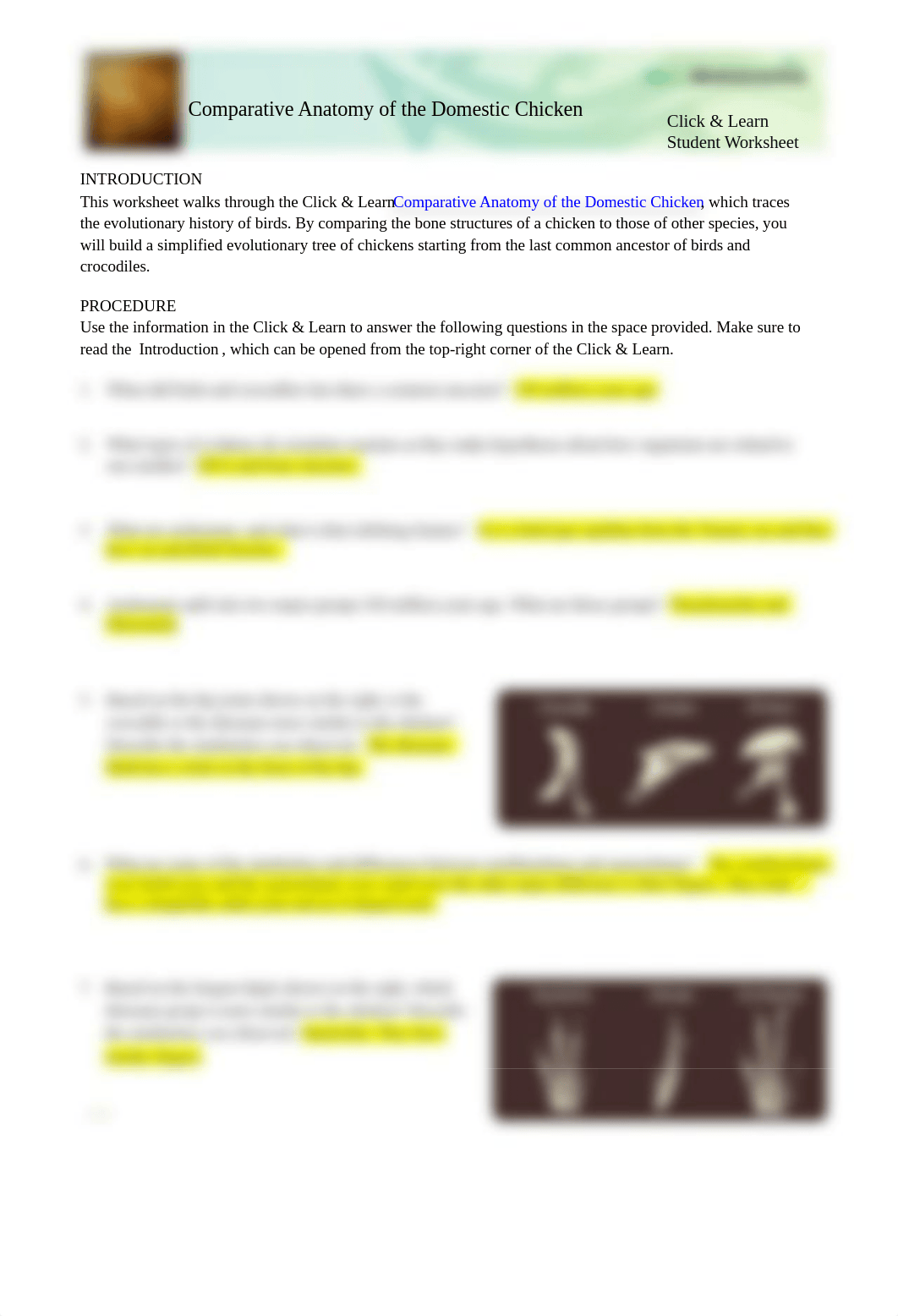 Comparative Anatomy Chicken.docx_dl2ewz3gvem_page1