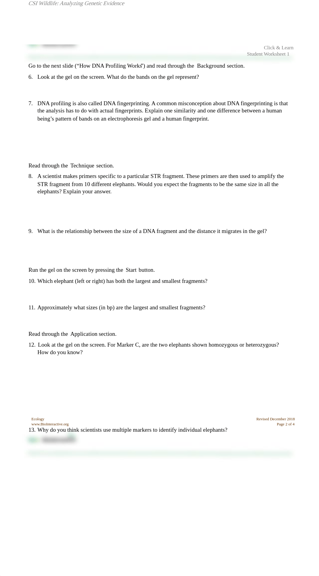 Elephant DNA worksheet-1.pdf_dl2knr94jww_page2