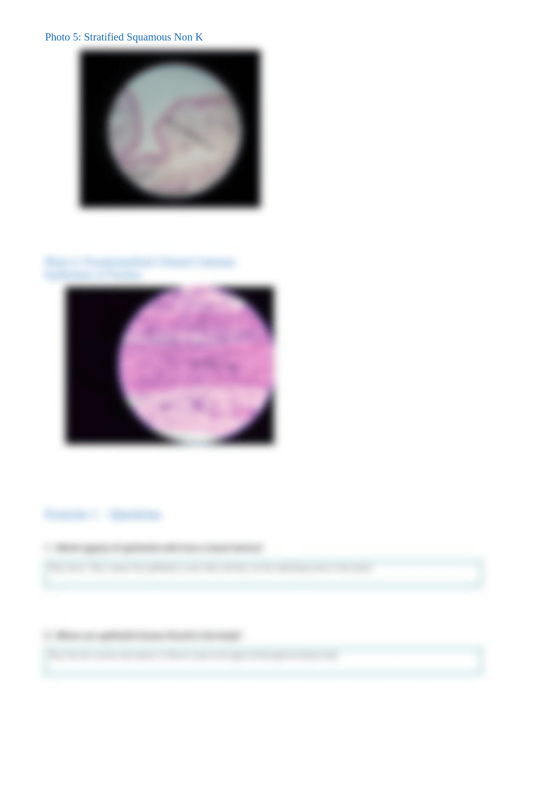 Histology - Cells and Tissues -Experimentation report_dl2p4qh2wzm_page4