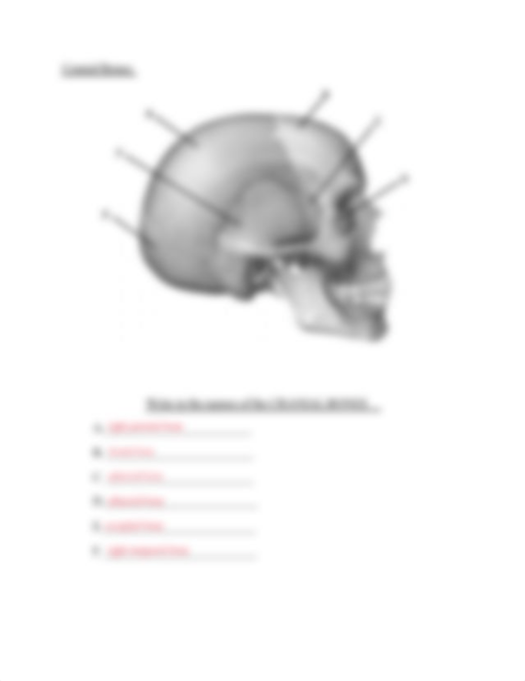 Lab Packet #4.pdf_dl2v9yf1nzk_page4