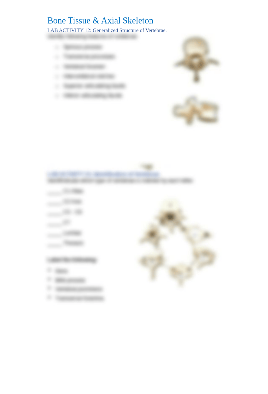 Skeleton ID lists from lab manuals.docx_dl2yvtqtxo4_page2