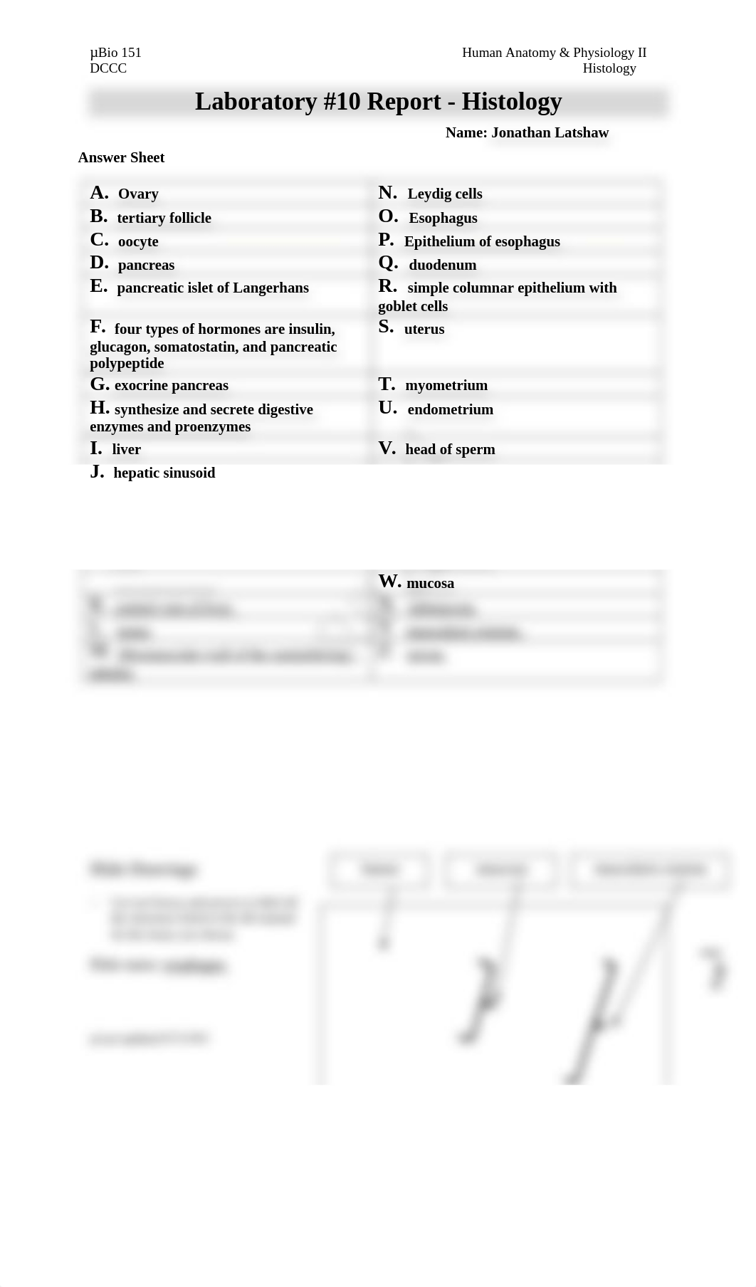 Latshaw_BIO 151 Lab #10 Histology ff.docx_dl31lt1mlzc_page1