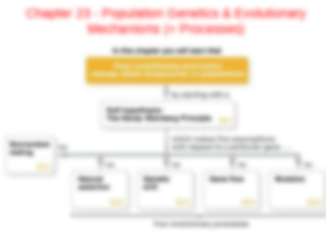 E. Genetic Drift Migration Inbreeding.pptx_dl35lygqcmx_page1