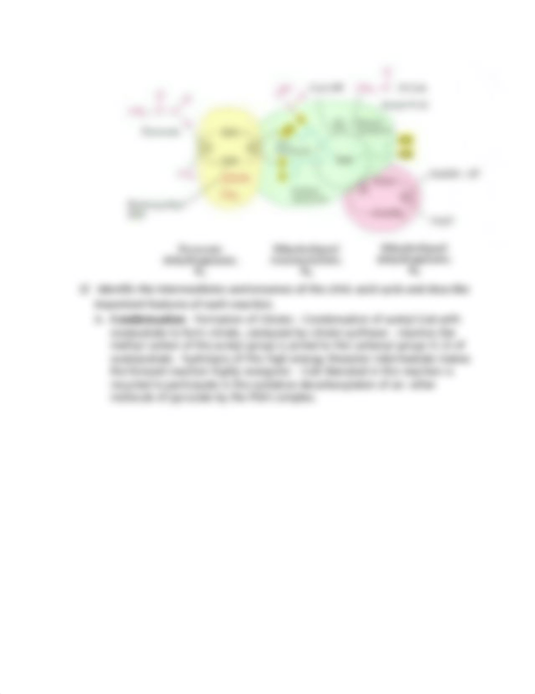 BioChem Ch 16_dl36c2ayhwe_page2