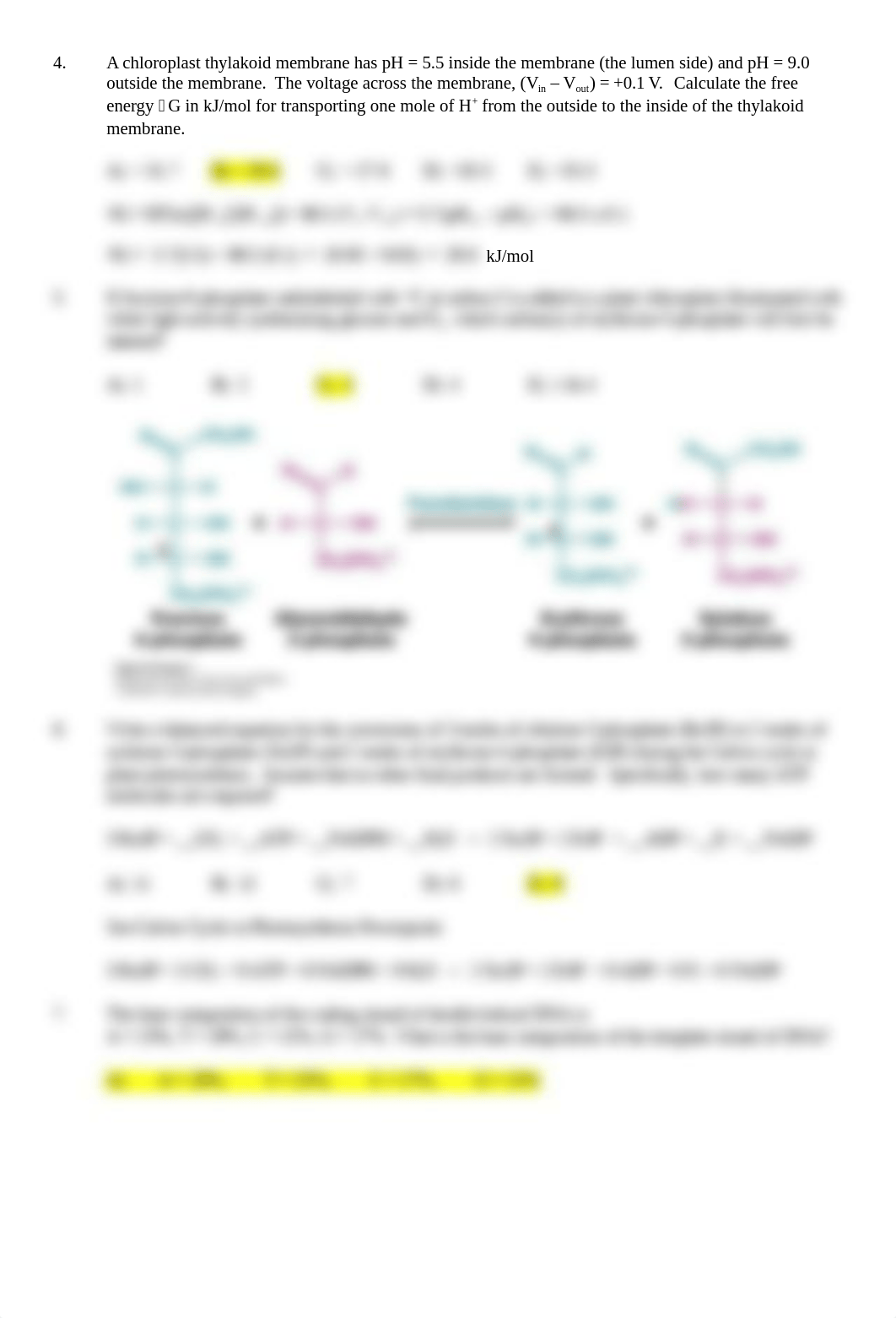 Biochem Exam 4.docx_dl378n1bemy_page2