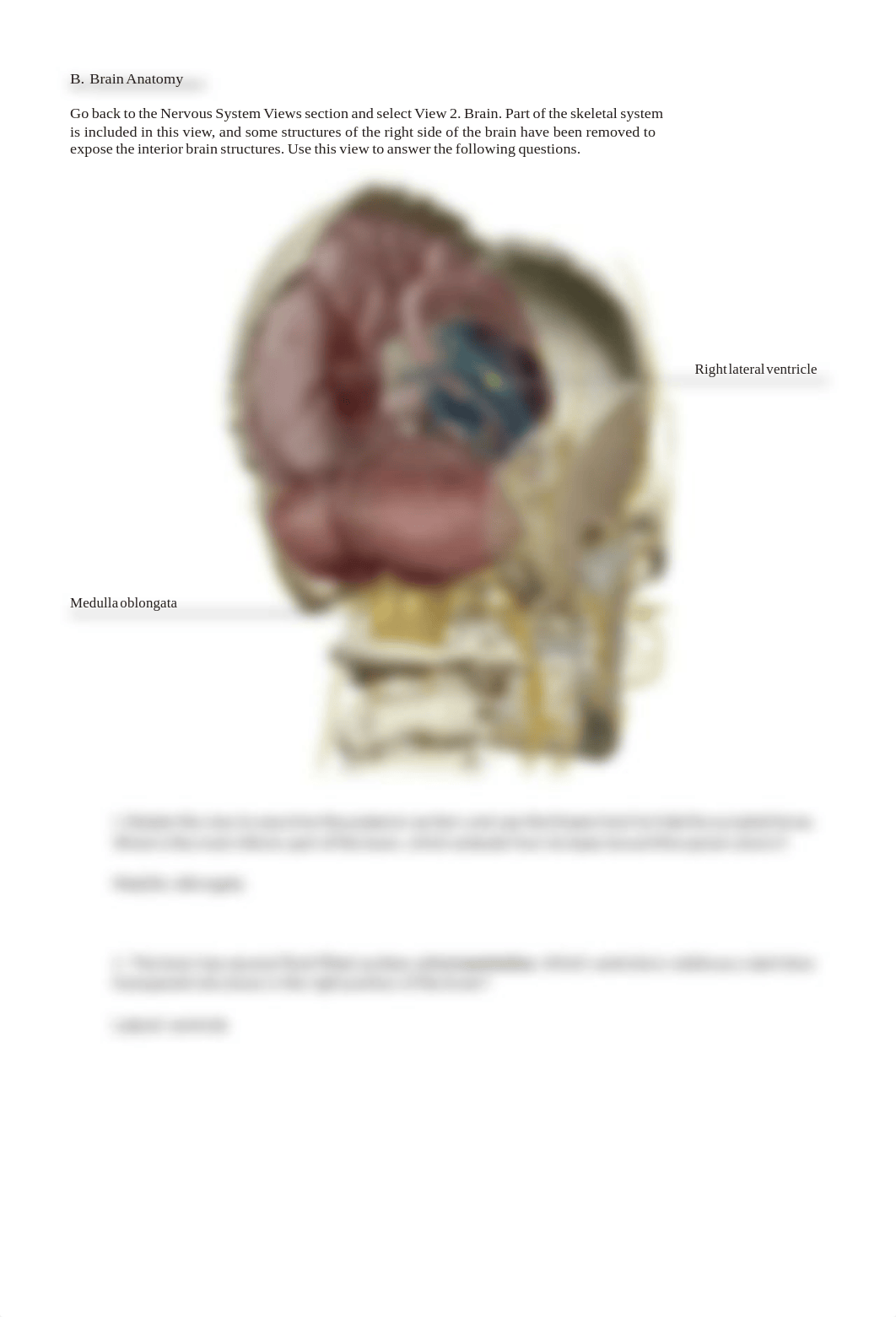 Brain.pdf_dl37rtzd92j_page4