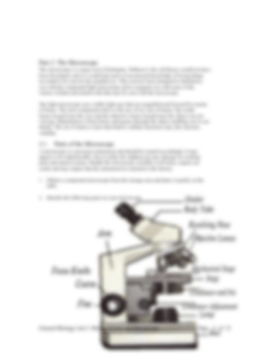 Lab 2 Metric System and the Microscope.docx_dl3gvx35qw3_page3