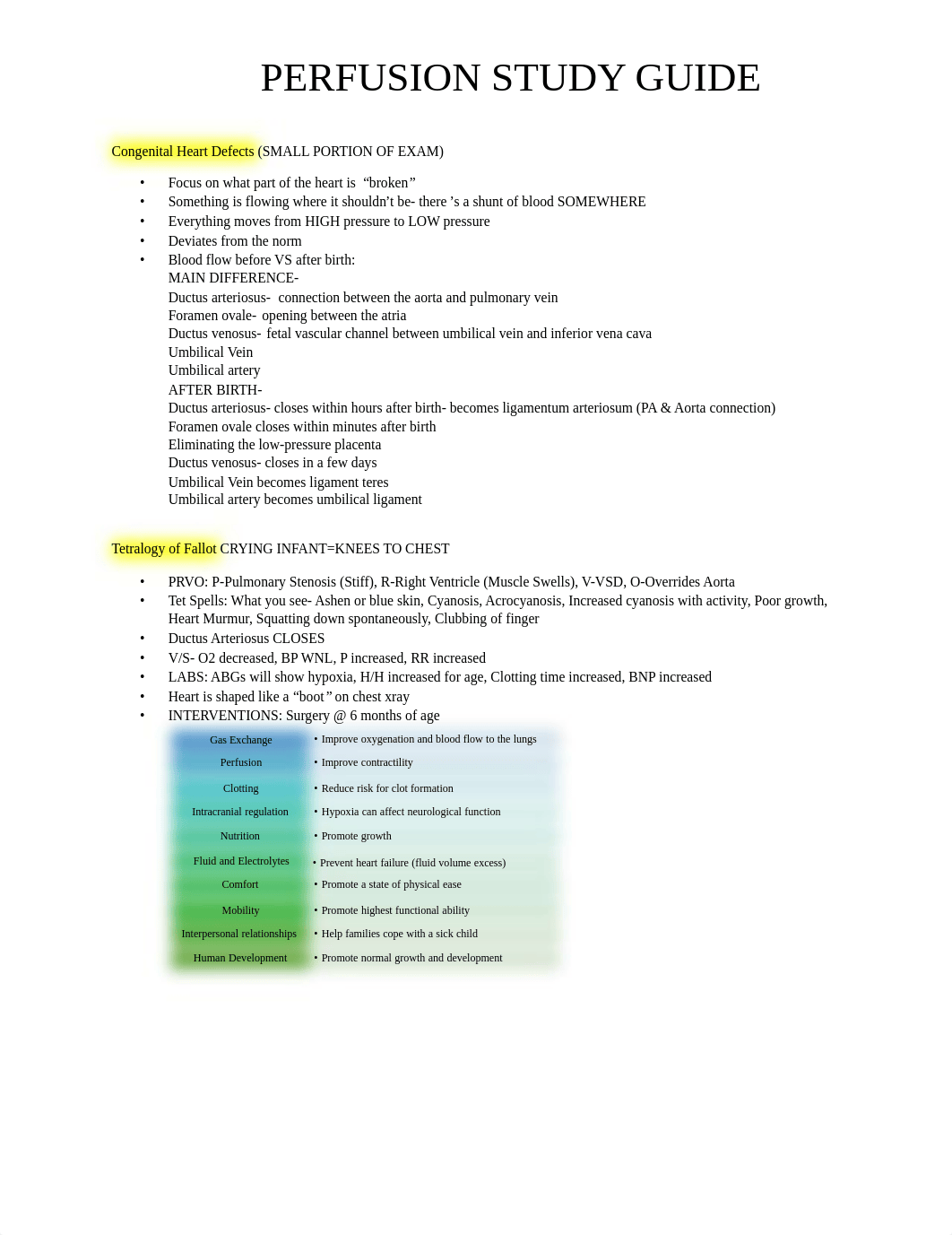 Perfusion Study Guide- Professor Review.pdf_dl3k7rd5c4a_page1