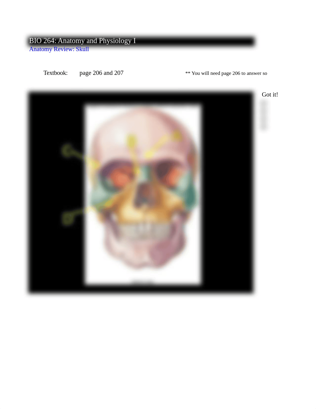 Skeletal Anatomy Lab 1_Practice_dl3n105klmh_page5