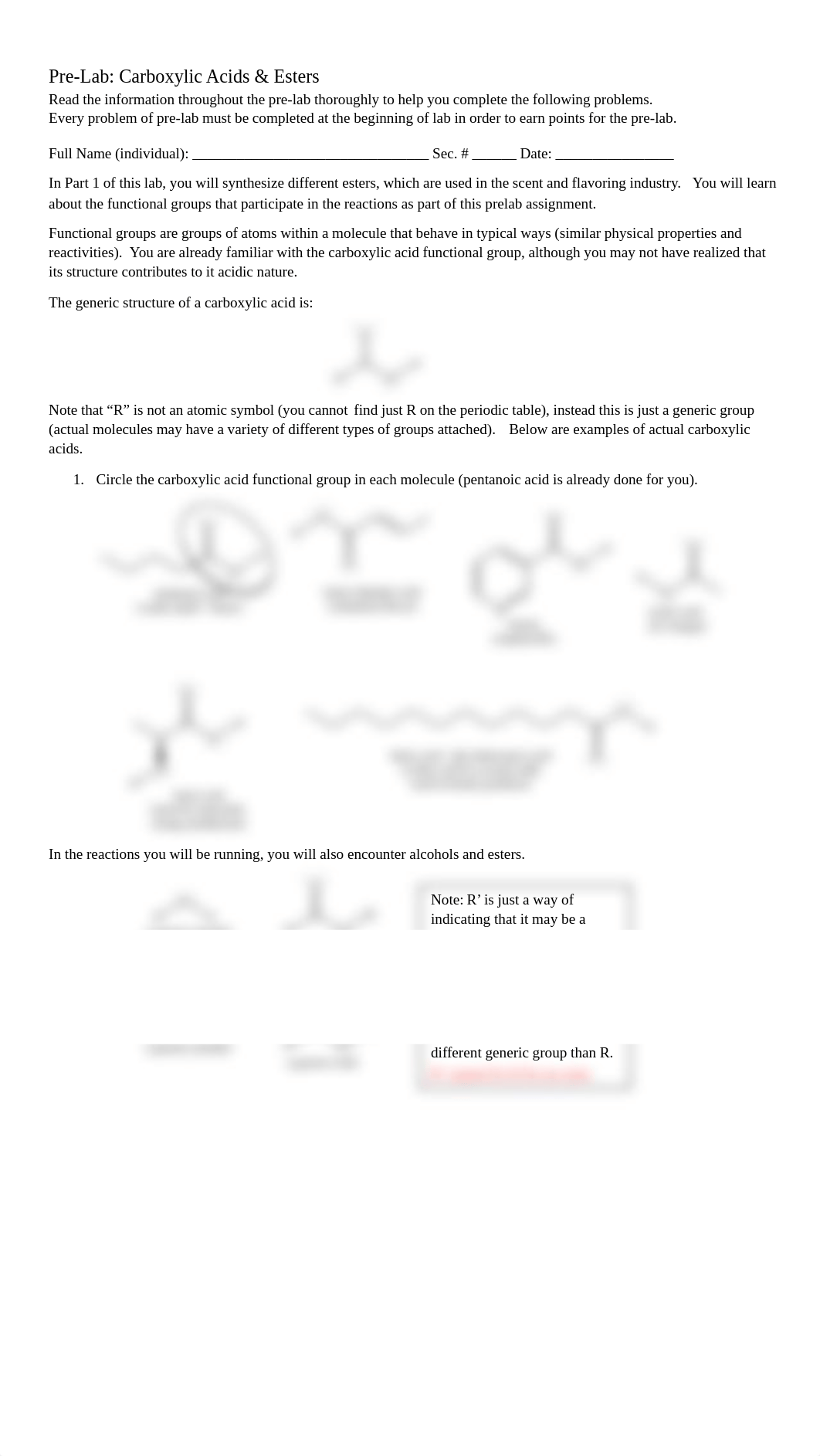 2020 - Carboxylic acids and esters lab handout (1).pdf_dl3oot0x2a3_page1