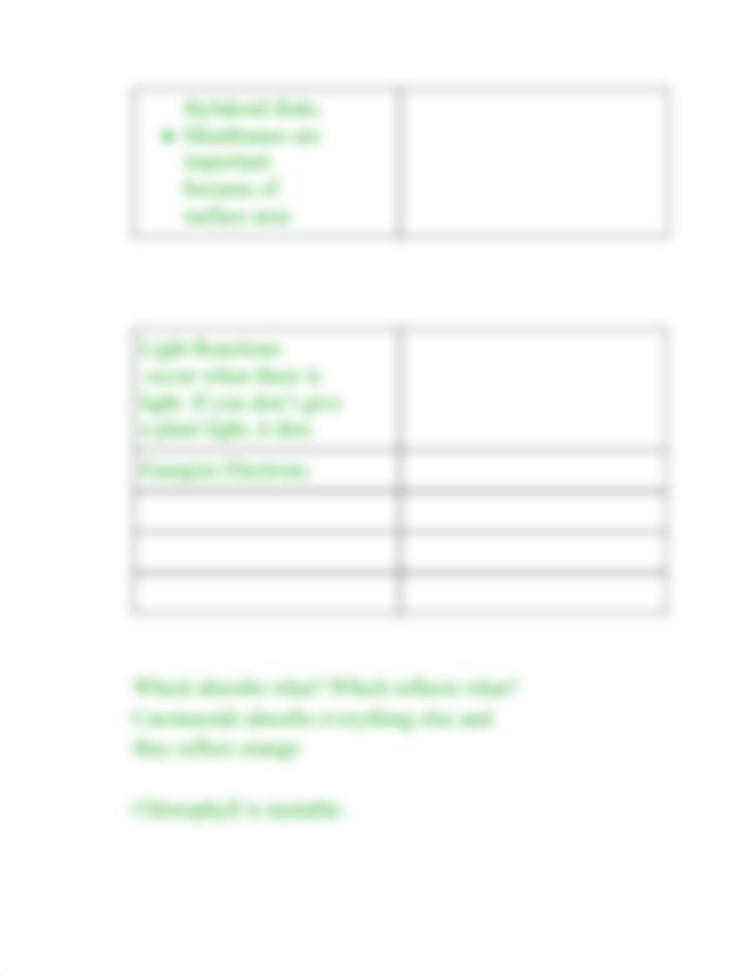 Photosynthesis Biology.pdf_dl3z80ampb4_page2