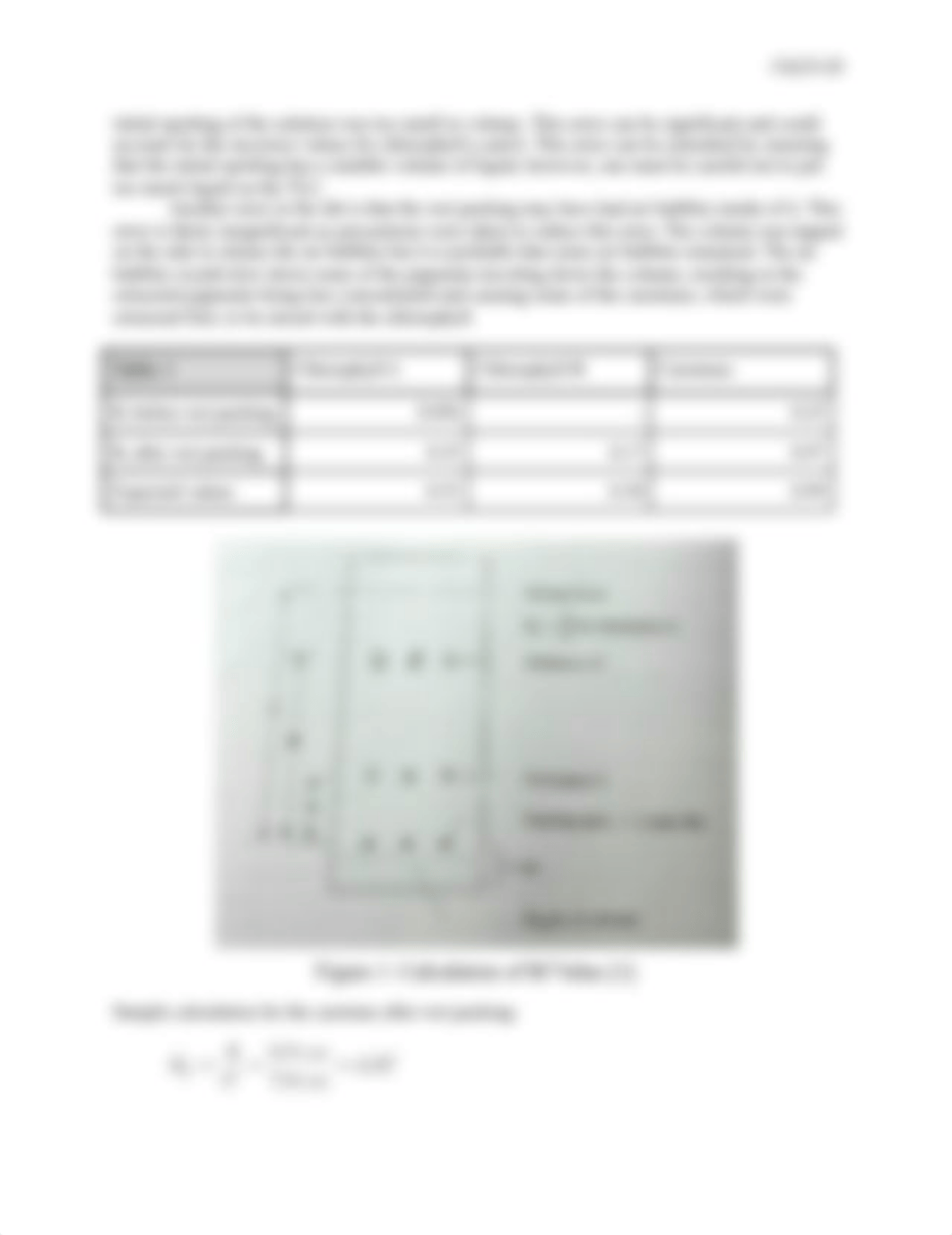 Chromatography_Lab_Report_Ch233_dl42itfmdj2_page2