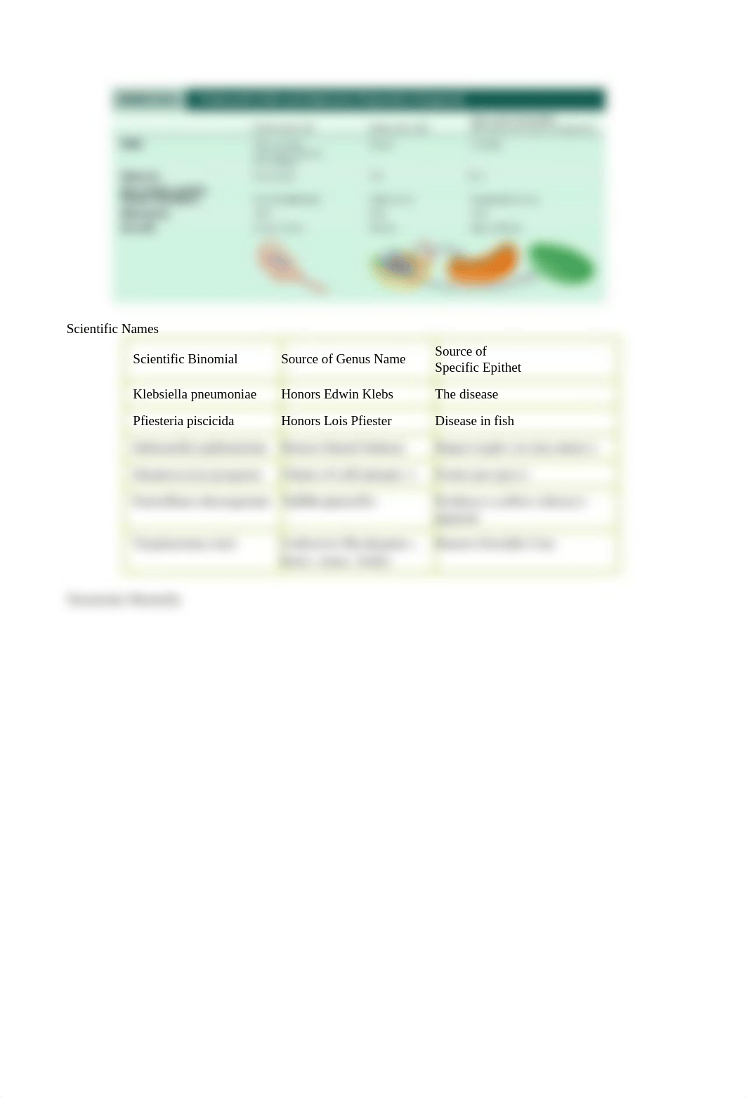 Micro Ch 10 Notes SV (1)_dl449p6jsp3_page2