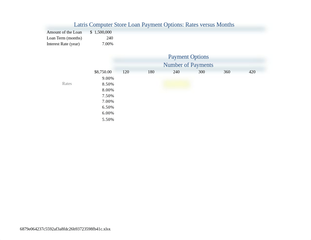 4_Computer_Store_Loan.xlsx_dl48x2qg48s_page1