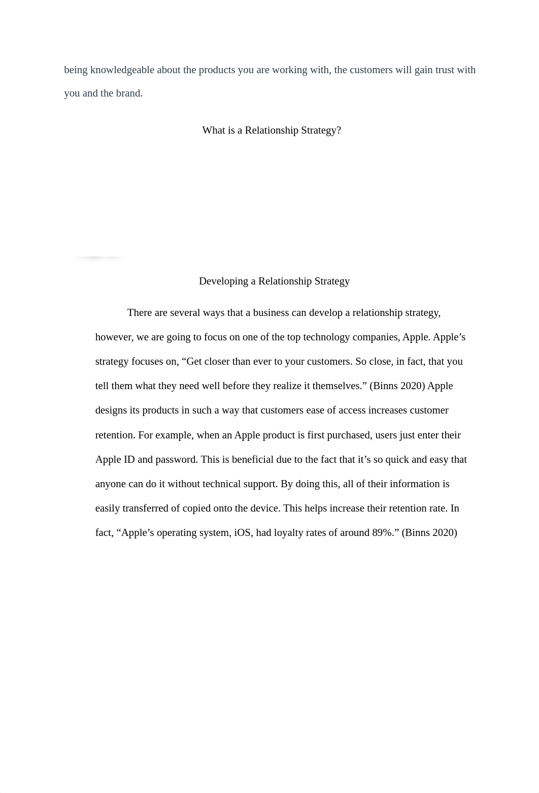 Apple iPad Term Project.docx_dl4gq2x3stj_page3