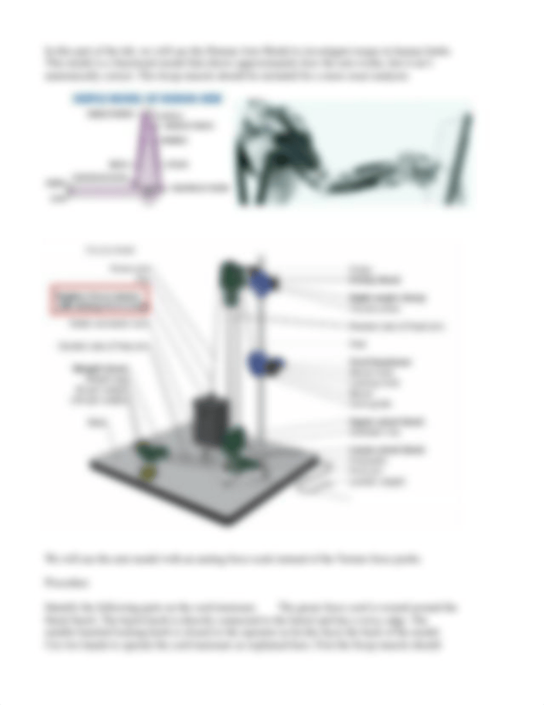 lab10? Torque and the Human Arm Lab_dl4hljkitj6_page3