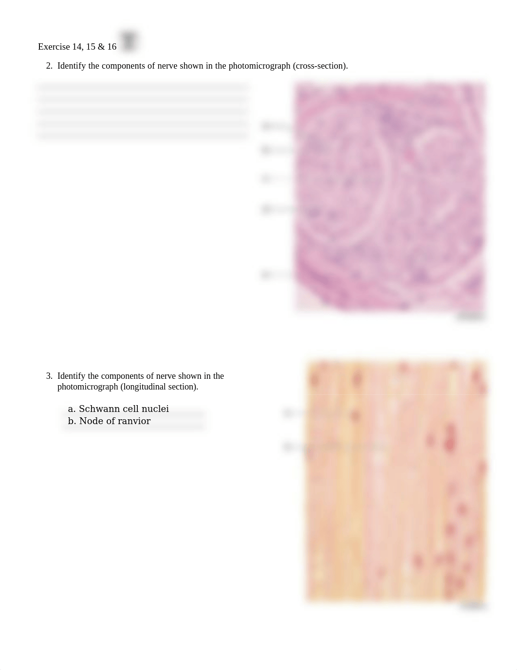 8. Unit 8 laboratory exercise 14, 15, & 16 (1) Finished.docx_dl4ruojf2v5_page2