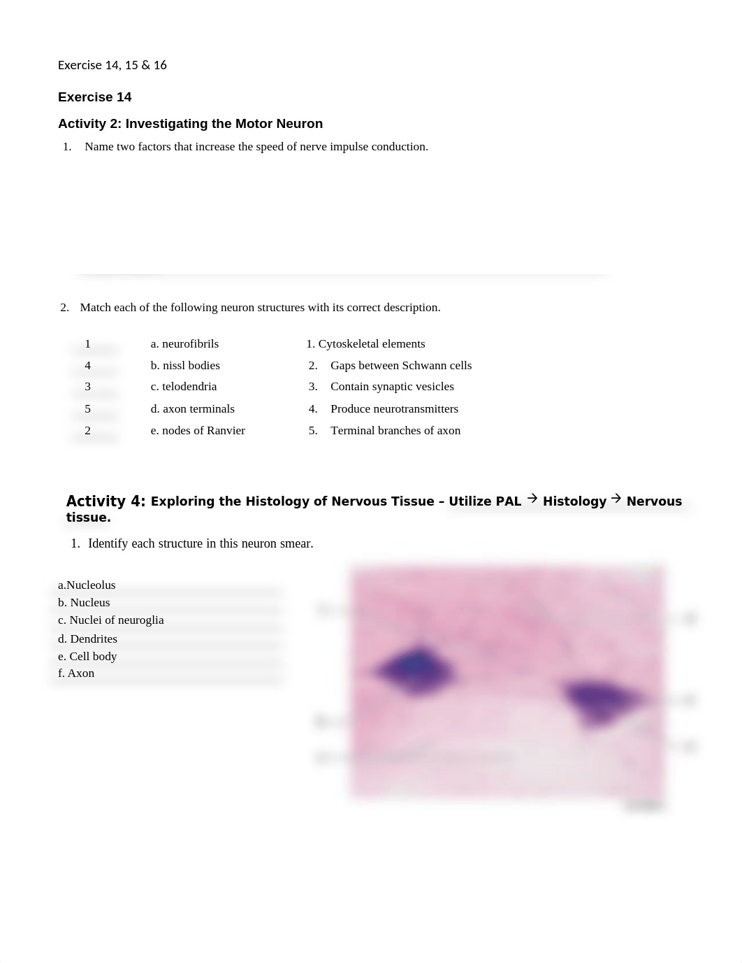 8. Unit 8 laboratory exercise 14, 15, & 16 (1) Finished.docx_dl4ruojf2v5_page1