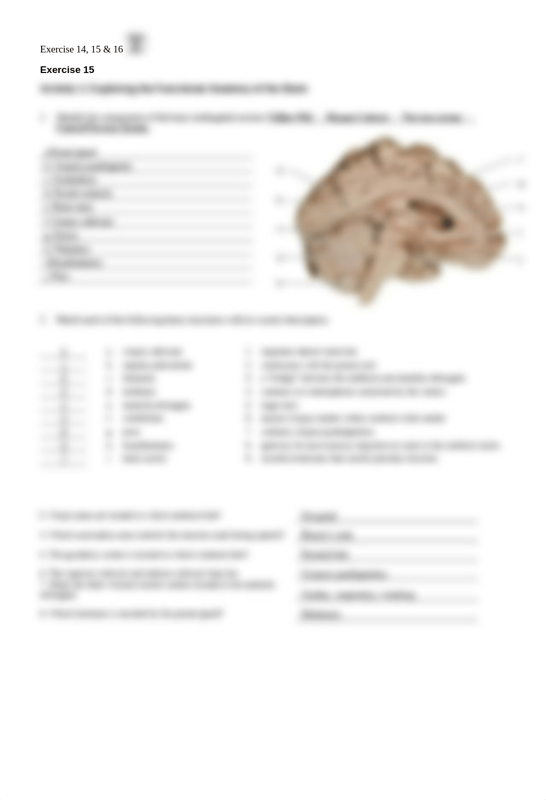 8. Unit 8 laboratory exercise 14, 15, & 16 (1) Finished.docx_dl4ruojf2v5_page3